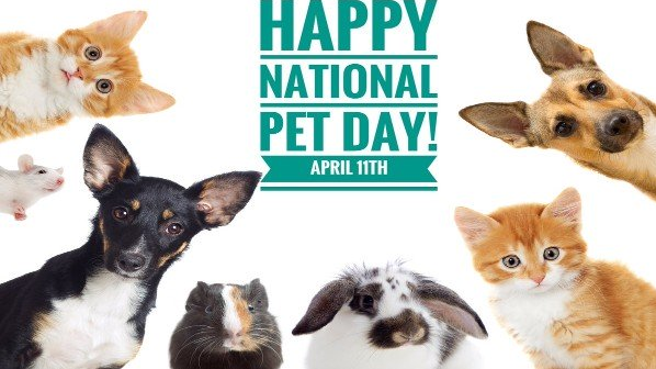 National Love Your Pet Day 2021 - National Love Your Pet Day - Home