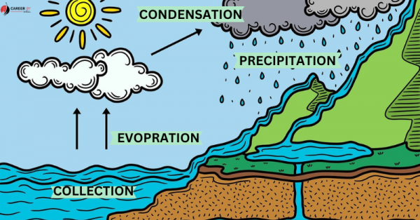 Water Cycle - Meaning, Stages And Importance - CareerByWell