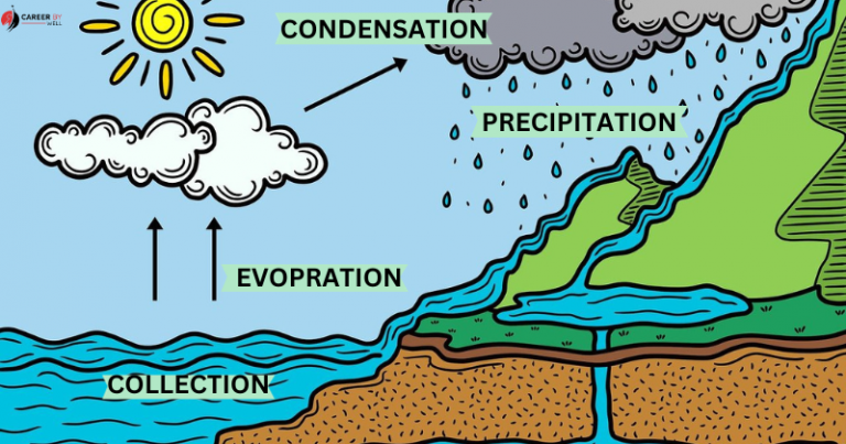 water-cycle-meaning-stages-and-importance-careerbywell