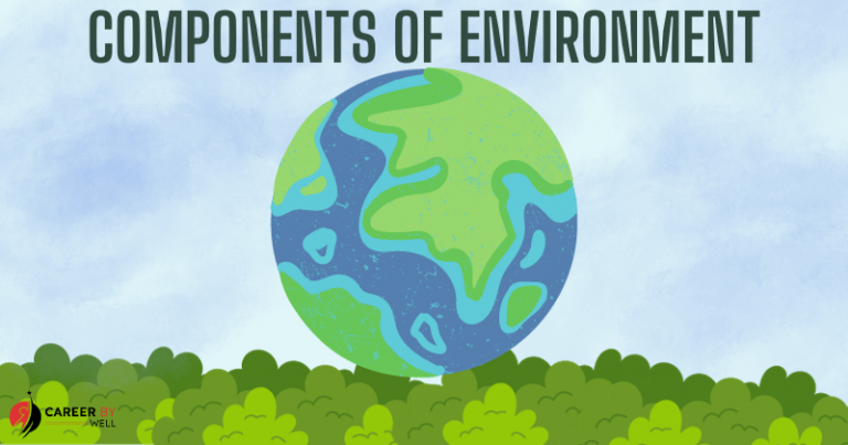 Components Of Environment - CareerByWell