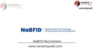 National Bank for Financing Infrastructure and Development (NaBFID)